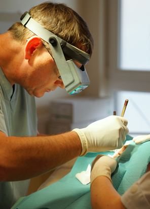 Dr O'Connor examining Mohs skin cancer specimens